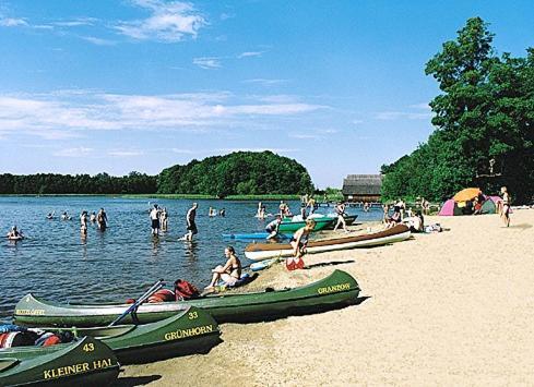Gruppenbungalow-Waldhaus-Am Ferienpark Mirow Exteriér fotografie